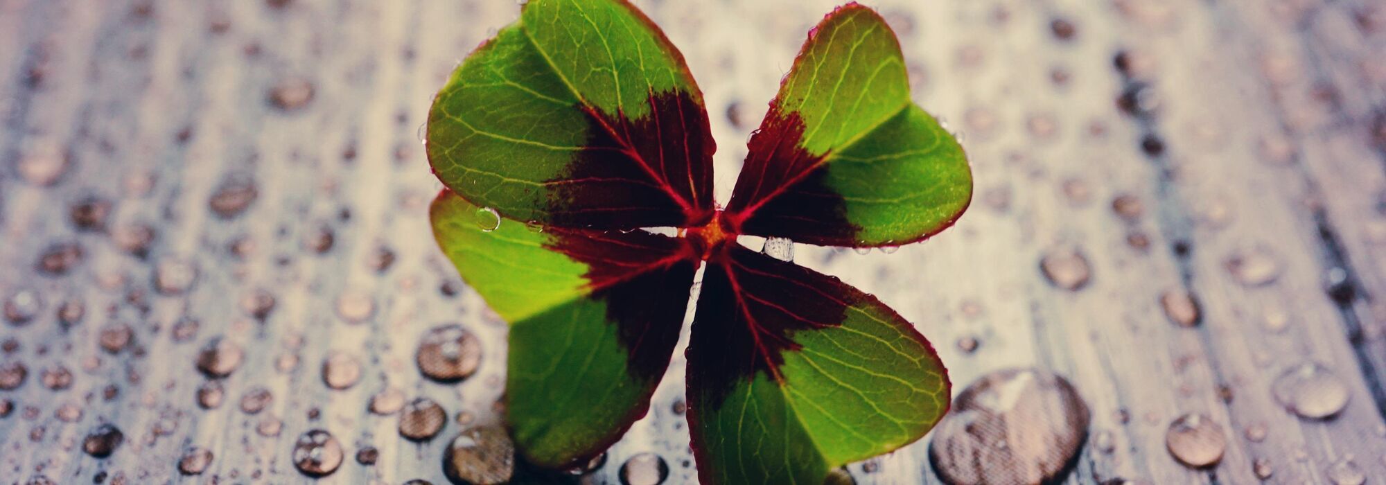 maklerkreisel - Immobilien & Versicherungen